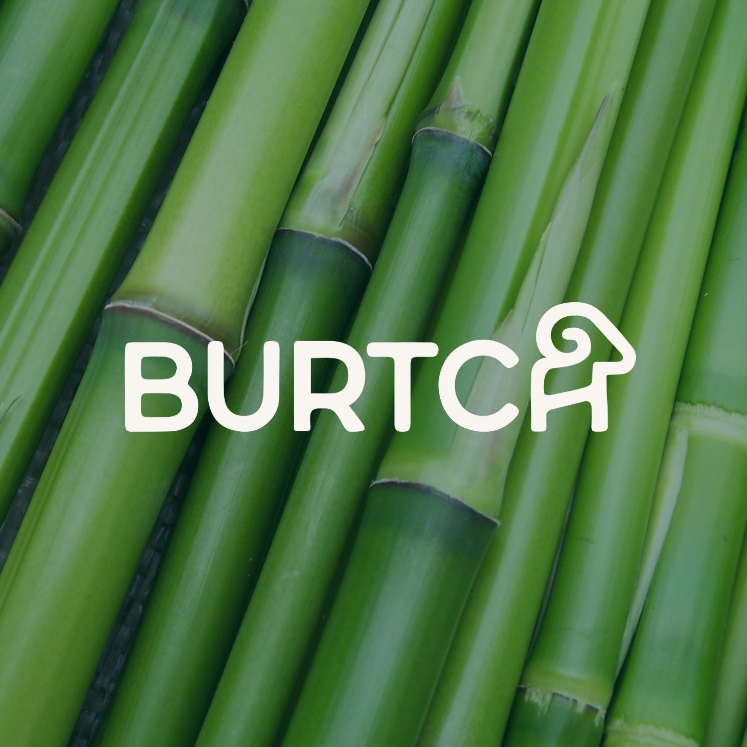 Welcome to Burtch: Why What You Wear Matters